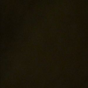 Meet your Posher, Rodney